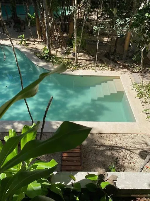 Depa Ph6 Acinte Tulum Luxe Con Alberca Privada Apartment Mexico