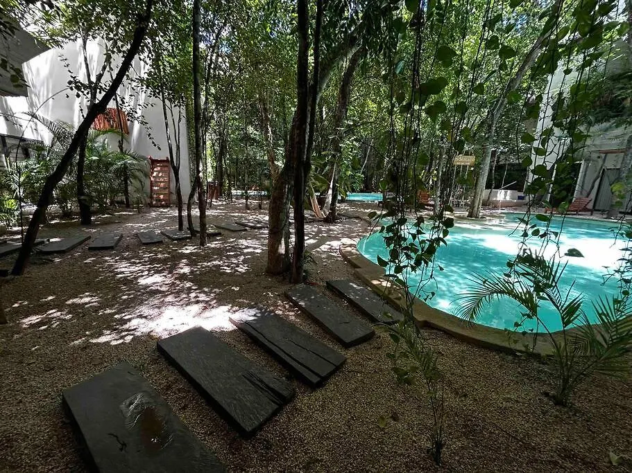 Depa Ph6 Acinte Tulum Luxe Con Alberca Privada Apartment