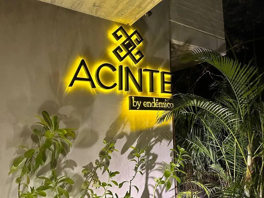 Depa Ph6 Acinte Tulum Luxe Con Alberca Privada Apartment