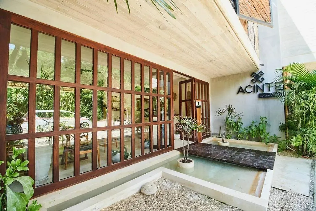 Depa Ph6 Acinte Tulum Luxe Con Alberca Privada Apartment