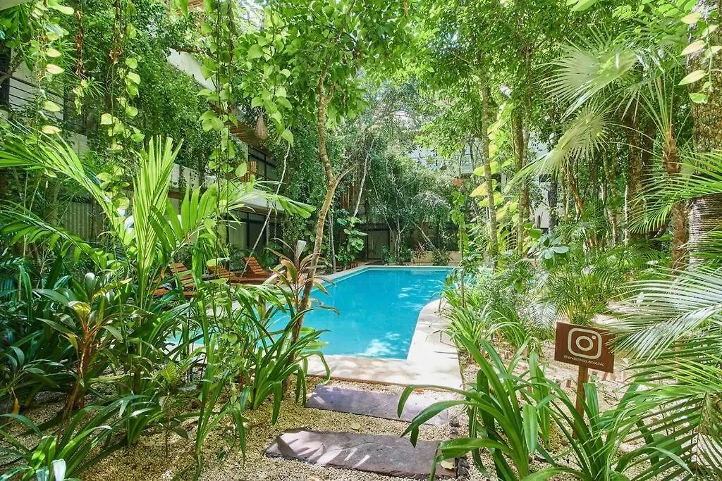 Depa Ph6 Acinte Tulum Luxe Con Alberca Privada Apartment 0*,  Mexico